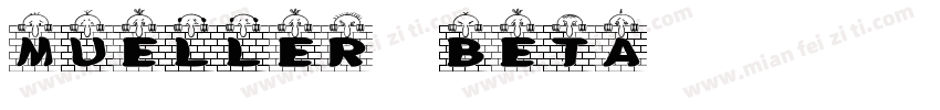 Mueller Beta 001 500字体转换